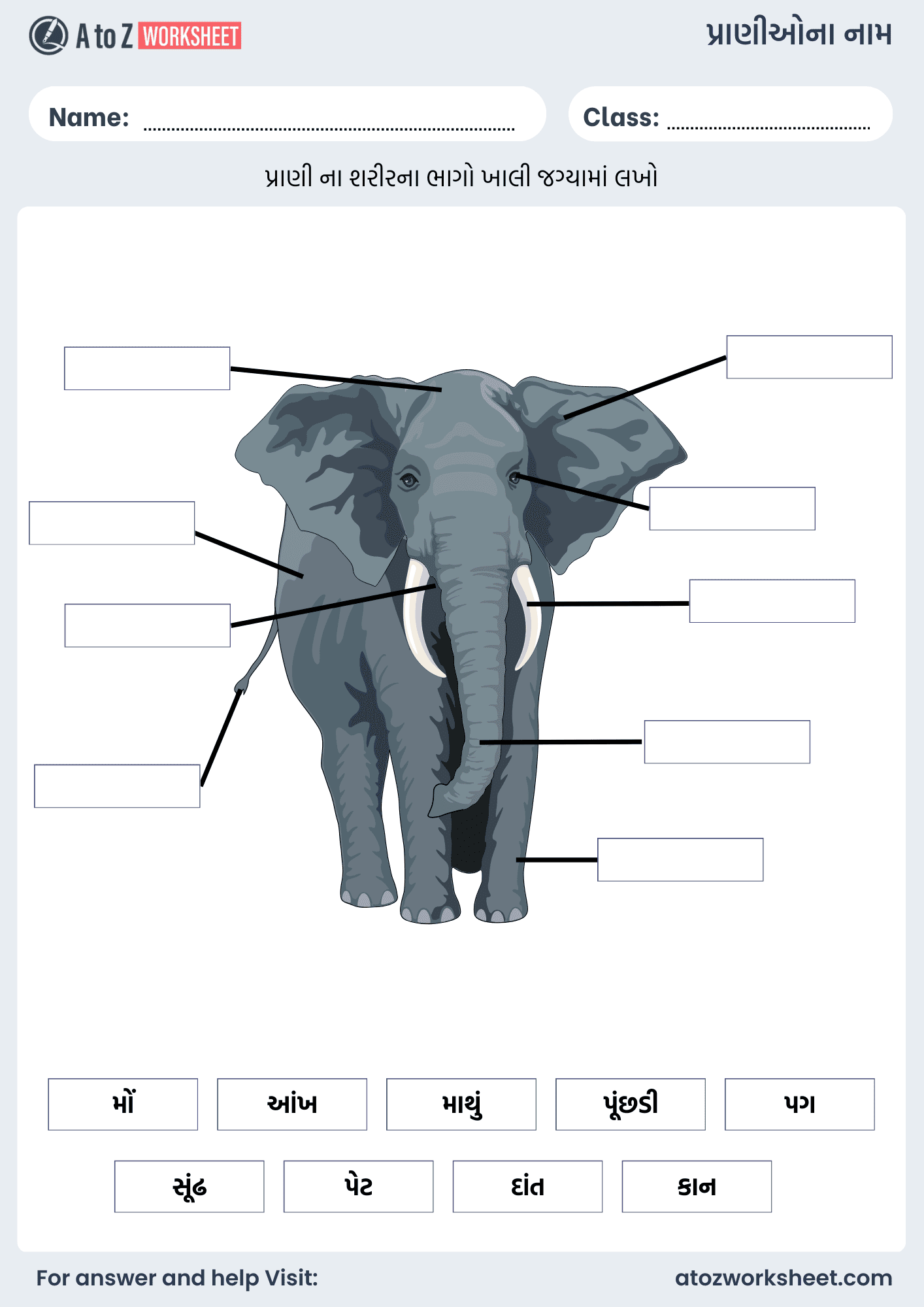 wild animals name in gujarati and english worksheet body parts activity kindergarten